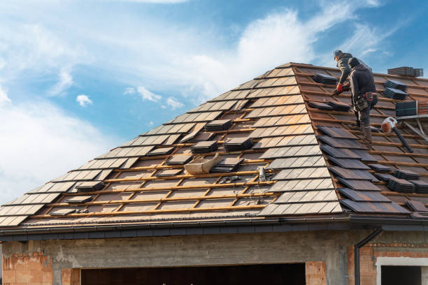 Best Asphalt Shingle Roofing  in Mchenry, IL